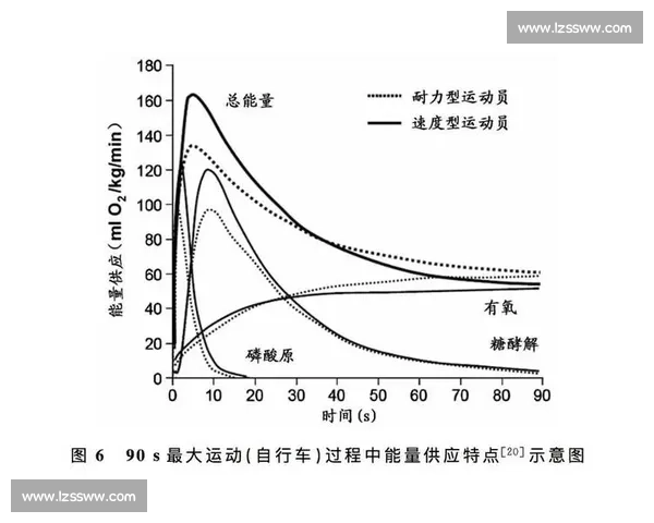 以反应速度为核心探讨人体运动表现的提升与训练方法